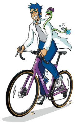 Gamme Vélo